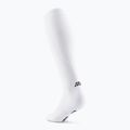 CEP Herren Kompressionssocken Run Tall 5.0 weiß 3