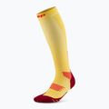 CEP Run Tall 5.0 Herren Kompressionssocken Ringelblume/Burgunder 2