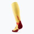 CEP Run Tall 5.0 Herren Kompressionssocken Ringelblume/Burgunder 3