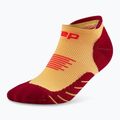 CEP Herren Kompressionssocken Run No Show 5.0 marigold/burgundy 2