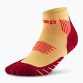 CEP Herren Kompressionssocken Run Low Cut 5.0 marigold/burgundy 2
