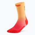 CEP Herren Kompressionssocken Run Edt. Gradient Mid Cut Compression 5.0 rot/marigold fade 2
