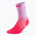 CEP Herren Kompressionssocken Run Edt. Gradient Mid Cut Compression 5.0 rosa/lila fade 2