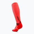 Damen Kompressionsstrümpfe CEP Run Tall 5.0 neon coral 3
