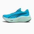Herren-Laufschuhe PUMA MagMax Nitro mint melt/speed Bblue