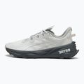 Laufschuhe Herren PUMA Fast-Trac Nitro 3 GTX dusky gray/gray echo