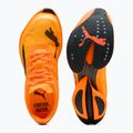 Herren PUMA Fast-R Nitro Elite 3 heat fire / sun stream Laufschuhe 6
