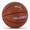 PUMA teamJAWS All Pro Basketball Leder braun/puma schwarz Größe 7 2