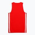 Fußball Shirt Herren PUMA teamJAWS Starter Jersey for all time red 2