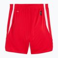 Herren-Basketball-Shorts PUMA teamJAWS Starter für alle Zeit rot 2