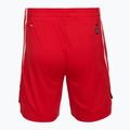 Herren-Basketball-Shorts PUMA teamJAWS Starter für alle Zeit rot 2