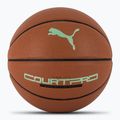 PUMA teamJAWS Court Pro Basketball Leder braun/dunkel Schatten Größe 7