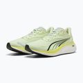 Herren Laufschuhe PUMA Electrify Nitro 4 green 4