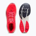 Laufschuhe Puma Electrify Nitro 5 ultra red/inky depths 5