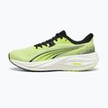 Laufschuhe Puma Electrify Nitro 5 sunny lime/puma black