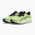 Laufschuhe Puma Electrify Nitro 5 sunny lime/puma black 2