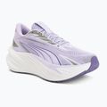 Laufschuhe Puma Maxima Pro light lavender/plum purple