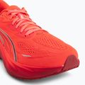 Herren-Laufschuhe Puma Velocity Nitro 5 ultra red/red rhythm 7