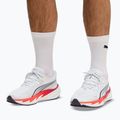 Herren-Laufschuhe Puma Velocity Nitro 5 puma white/ultra red 7