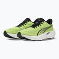 Herren-Laufschuhe Puma Velocity Nitro 5 sunny lime/moody gray 4