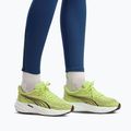 Laufschuhe für Damen Puma Velocity Nitro 5 sunny lime/puma black 7