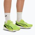 Herren-Laufschuhe PUMA Deviate Nitro 4 sunny lime/puma black 6