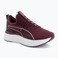 Damen-Schuhe Buty Puma Softride Sabrina ruby noir/dusky rose