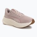 Laufschuhe Puma MaxStride Lite puma black/dusky rsewood