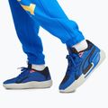 Herren Basketballschuhe PUMA Court Rider Chaos Clydes Closet clyde royal/harbor mist/puma schwarz/fire orchid 12