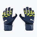 PUMA Future Match Nc Persisch blau/pro grün Torwarthandschuhe