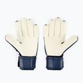 PUMA Future Match Nc Persisch blau/pro grün Torwarthandschuhe 2