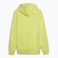 Herren PUMA Essentials Big Logo Hoodie FL lime sheen Sweatshirt 2