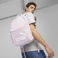 PUMA Phase 22 l Traube Nebel Rucksack 4