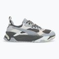 PUMA Trinity cool dunkelgrau/grauer Nebel/silberner Nebel Schuhe 2