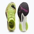 Herren Laufschuhe PUMA Deviate Nitro Elite 2 Psychedelic Rush grün 11