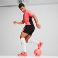 PUMA Future 7 Ultimate FG/AG sunset glow/puma schwarz/sun stream Fußballschuhe 15