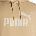 Herren Hoodie Sweatshirt PUMA Essentials Big Logo Hoodie FL prairie tan 3