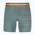 Thermoaktive Boxershorts Herren ORTOVOX 185 Rock'N'Wool arctic grey