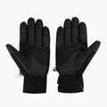 Skihandschuhe Herren Descente Gordon 93 schwarz DWBUGD11 2