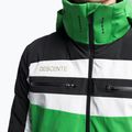 Skijacke Herren Descente Carter 19 grün DWMUGK23 9