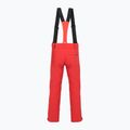 Herren Skihose Descente Swiss electric red 2