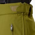 Herren Skihose Descente Roscoe olivgrün 9