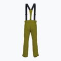 Herren Skihose Descente Roscoe olivgrün 2