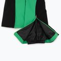 Skihose Descente Velche 19 bio grün 5