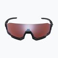 Shimano CE-ARLT2 Aerolite schwarz/ridescape hc Sonnenbrille 2