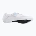 Herren-Rennradschuhe Shimano SH-RC503 white 6