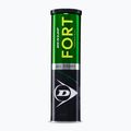 Dunlop Fort All Court Ts 4B 2025 Tennisbälle 2