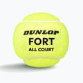 Dunlop Fort All Court Ts 4B 2025 Tennisbälle 3