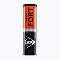 Dunlop Fort Clay Court 4B 2025 Tennisbälle 2