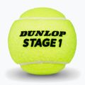 Tennisbälle Dunlop Stage 1 3 pack green 3